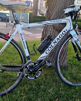 Bici da corsa Colnago Ace carbon TG 52/53 10 v