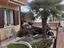 Immagine 5