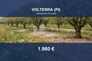Immobile in asta di 3250 m² a Volterra