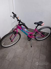 Bicicletta