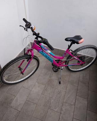 Bicicletta