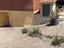 Immagine 3