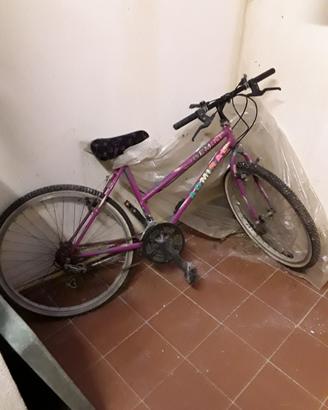 Bicicletta