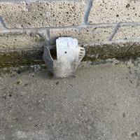 Paramotore Moto KTM EXC