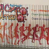 Il corpo umano enciclopedia