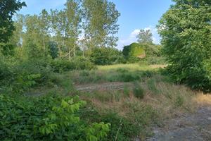 Estesa area con ben 7 laghi e casa su tre piani