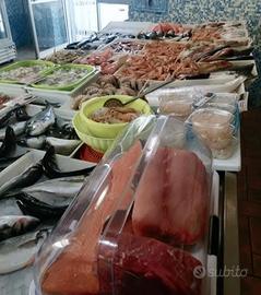 Attività di Pescheria avviatissima