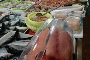 Attività di Pescheria avviatissima