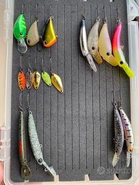 Spoon e crank Trout area