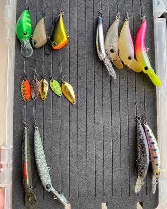 Spoon e crank Trout area