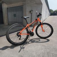 Bicicletta