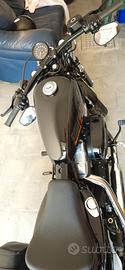 harley davidson fortyeight 1200 xl