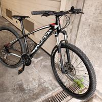 MTB Olympia Drake 29”