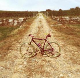 Cannondale M500 - Custom