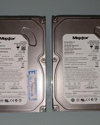 Coppia di hard disk Maxtor 160 GB sata