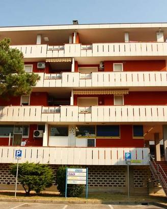 Bilocale in Lido dei Pini vicino al mare- SOV15