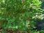 Immagine 15
