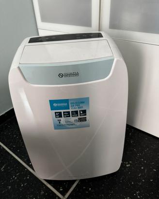 OLIMPIA SPLENDID Dolceclima Air Pro 13 A+ Wifi