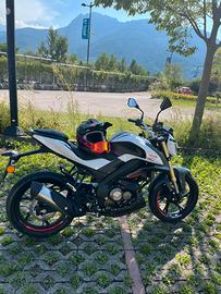 QJ MOTOR SRK 125 S -2024