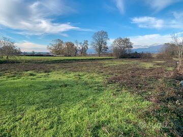 Terreno agricolo