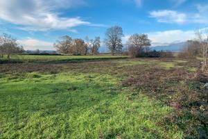 Terreno agricolo