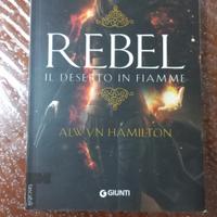 Rebel,il deserto in fiamme