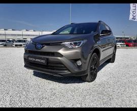 Toyota RAV4 4nd serie 2.5 Hybrid 4WD Dynamic