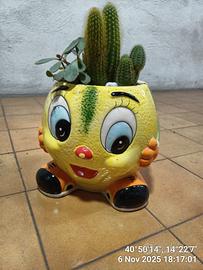 PIANTINE GRASSE  VERE IN VASO CERAMICA  