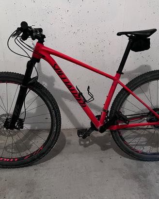Bicicletta specialized