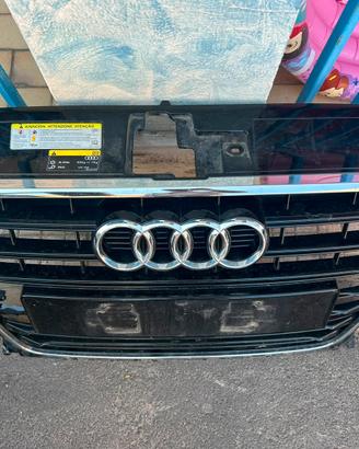 Griglia anteriore Audi A3 sportback 2016