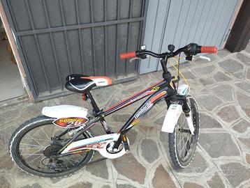 Bicicletta 20 per bambini