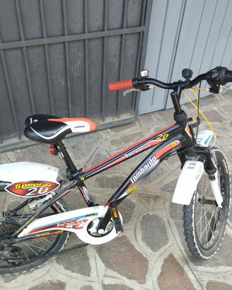 Bicicletta 20 per bambini