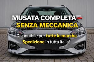 Musate Complete per Auto – Perfette per Riparazion