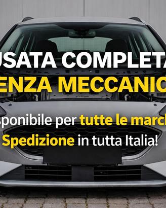 Musate Complete per Auto – Perfette per Riparazion