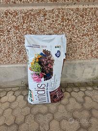 terriccio   formato xl 