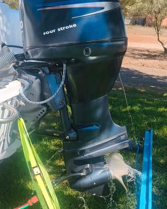 motore fuoribordo Yamaha 40/50 4 tempi carbrato