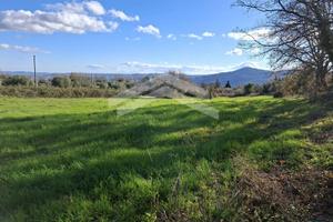 Terreno Agricolo - Guardialfiera