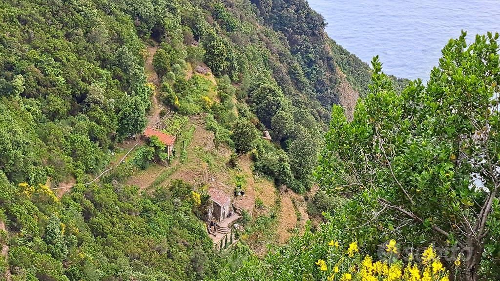 Rustico / Casale di 20 m² con 2 locali a Riomaggio - Vista 3