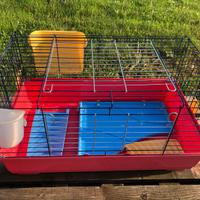 Gabbia e trasportino