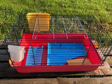 Gabbia e trasportino