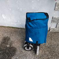 Carrello pieghevole spiaggia giardinaggio