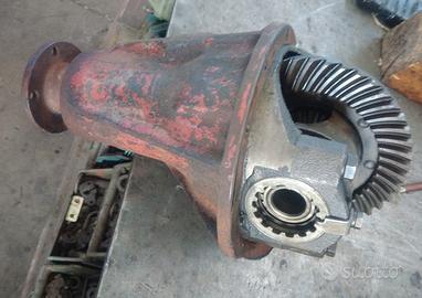 Gruppo differenziale 8x43 fiat 241