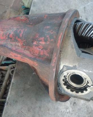 Gruppo differenziale 8x43 fiat 241