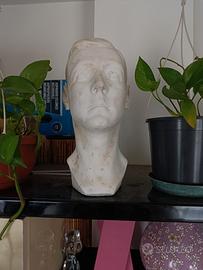 Busto uomo in gesso pieno 