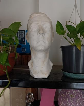 Busto uomo in gesso pieno 