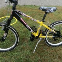 Mountain bike