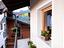 Immagine 19