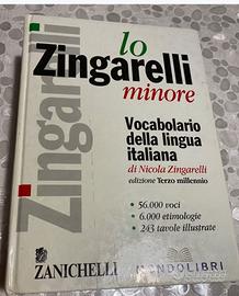 DIZIONARIO “LO ZINGARELLI” minore