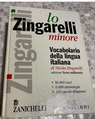 DIZIONARIO “LO ZINGARELLI” minore
