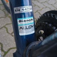 bianchi c cross 24